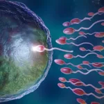 Watery Semen and Fertility Challenges