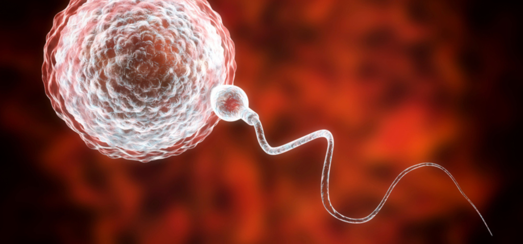 How To Improve Egg Quality Naturally