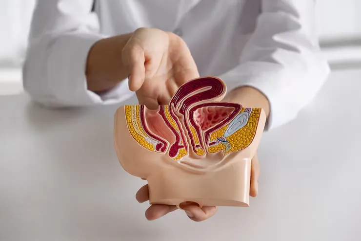 Find Piles Specialist Doctor in Balewadi